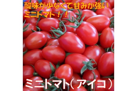 ミニトマト(アイコ)2kg【先行予約2023年12月中旬頃より発送予定】