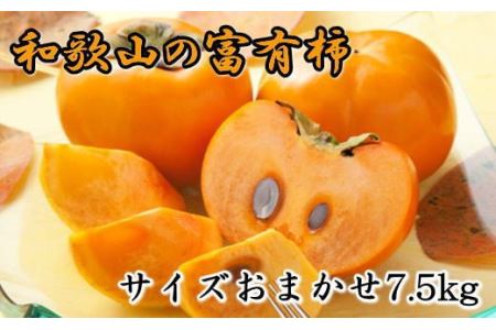 [甘柿の王様]和歌山産富有柿約7.5kgサイズおまかせ ※2024年11月上旬～2024年12月上旬頃に順次発送【tec400A】