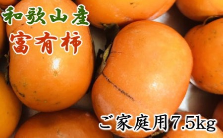 和歌山産富有柿ご家庭用約7.5kg※2024年11月上旬～2024年12月上旬頃に順次発送 【tec407A】