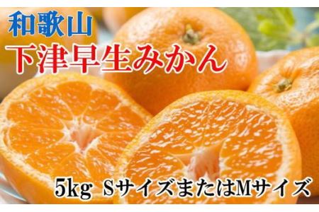 果物 くだもの フルーツ 蜜柑 みかん / 【産直】和歌山下津早生みかんSまたはM5kg 【tec870】