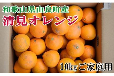 【訳あり・ご家庭用】和歌山由良町産の濃厚清見オレンジ約10kg ※2025年2月中旬～2025年2月下旬頃（お届け日指定不可）【tec877】
