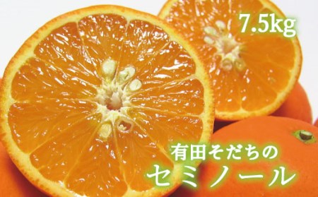 【2024年4月より順次発送】有田育ちの爽快セミノールオレンジ(ご家庭用)　約7.5kg【ard026A】
