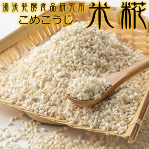 冷凍米麹(米こうじ) 2.5kg (500g×5袋) 生冷凍袋入 /湯浅発酵食品研究所【kmtb807】