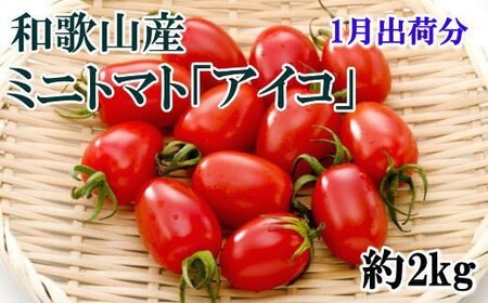 【2025年1月出荷分】和歌山産ミニトマト「アイコトマト」約2kg（S・Mサイズおまかせ）/ トマト 1月 先行予約 野菜【tec100-1】