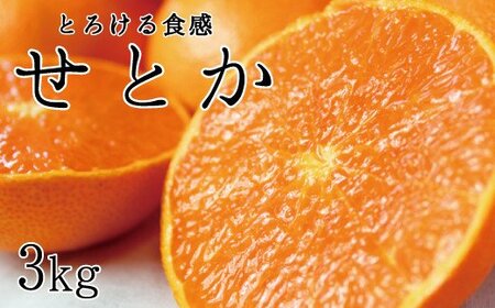 ジューシー柑橘　せとか　約3kg※2025年2月末頃～2025年3月中旬頃発送(お届け日指定不可)【uot506】