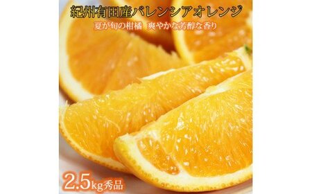 みかん 蜜柑 フルーツ 果物 くだもの オレンジ バレンシアオレンジ / 秀品　希少な国産バレンシアオレンジ　2.5kg　※2024年6月中旬頃～6月下旬頃順次発送（お届け日指定不可）【uot752】