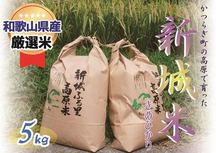 ☆9月下旬より発送☆【特選】新城米(きぬひかり５kg)＜2023年収穫＞