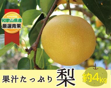 ★8月発送★果汁滴る絶品の梨(約４Kg）