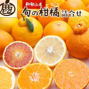 厳選旬の柑橘詰合せ5kg+150g（傷み補償分）＜1月より発送＞