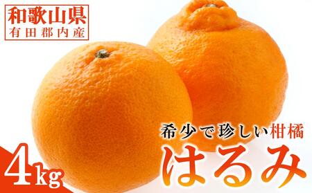 ◆先行予約◆大人気の春柑橘！和歌山県有田郡内産 はるみ 4kg(赤秀)【2023年1月下旬以降出荷】