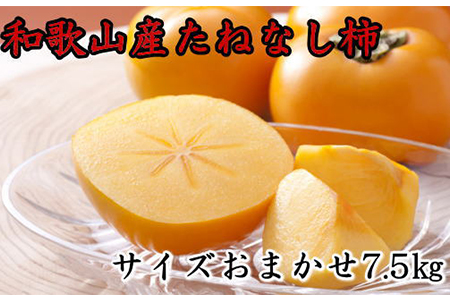 【秋の味覚】和歌山産のたねなし柿約7.5kg(M～4Lサイズおまかせ)