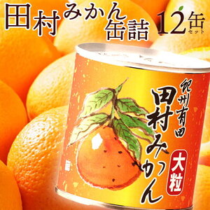 AY6003n_田村みかん 缶詰 12缶セット