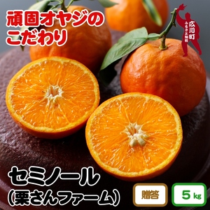 セミノールオレンジ 約5kg（化粧箱入り）　※2024年4月中旬～5月中旬頃より順次発送予定　【krf016-p-5】