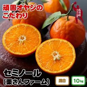 セミノールオレンジ 10kg（サイズ混合）　※2024年4月中旬～5月中旬頃より順次発送予定　【krf016-r-10】