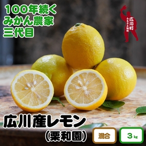 和歌山県有田産　レモン　約3kg ※2025年2月上旬頃～3月中旬頃に順次発送予定  【krw040-r-3】