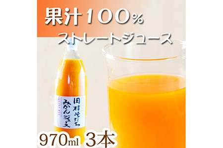 果汁１００%田村そだちみかんジュース　９７０ml×３本