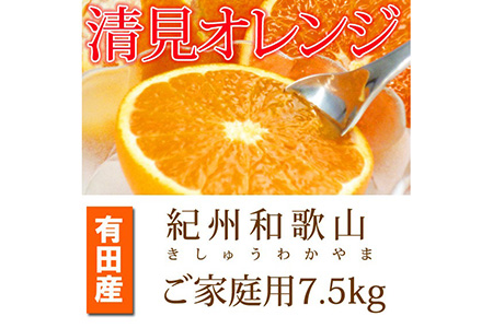 【ご家庭用訳アリ】紀州有田産清見オレンジ　７.５kg ※2025年3月下旬～4月中旬頃に順次発送予定