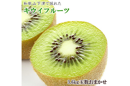 和歌山の下津で採れたキウイフルーツ約3.6kg（玉数おまかせ・秀品） ※2024年1月中旬～3月上旬頃に順次発送予定