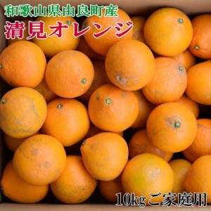 【訳あり・ご家庭用】和歌山由良町産の濃厚清見オレンジ約10kg　※2025年2月中旬～2月下旬頃に順次発送予定