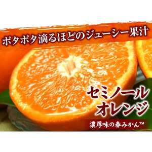 セミノールオレンジ[約2.8kg]和歌山県有田産 春みかん(果実サイズおまかせ)【1489915】