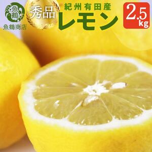 秀品　紀州有田産レモン　2.5kg【2025年3月上旬以降発送】【先行予約】【UT45】
