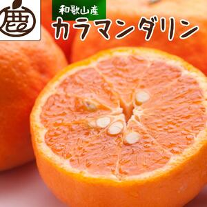 ＜4月より発送＞厳選 カラマンダリン5kg+150g（傷み補償分）【希少な春柑橘】【IKE4】
