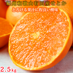 紀州有田産せとか約2.5kg　とろける食感！ジューシー柑橘【2025年2月上旬以降発送】【先行予約】【UT02】