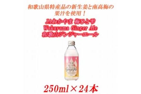 JAわかやま 生姜丸しぼり Wakayama Ginger Ale　和歌山ジンジャーエール 250ml×24本
