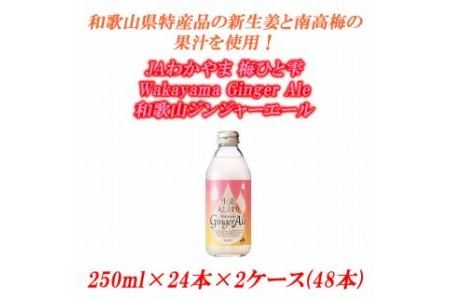 JAわかやま 生姜丸しぼり Wakayama Ginger Ale　和歌山ジンジャーエール 250ml×24本×2ケース(48本入)
