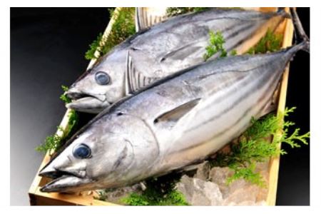 旬 天然魚介類 詰め合わせ A セット 約 3kg