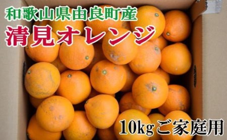 【訳あり・ご家庭用】和歌山由良町産の濃厚清見オレンジ約10kg　※2025年2月中旬～2025年2月下旬頃に発送予定（お届け日指定不可）【tec877】