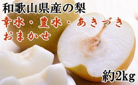 [数量限定]和歌山県産の梨約2kg(品種おまかせ) 【tec925】