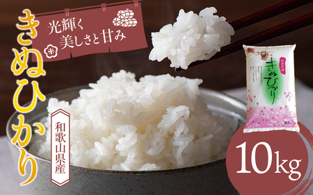 和歌山県産 キヌヒカリ 10kg(2023年産)  産地直送 米 こめ ご飯 ごはん  【sml100A】
