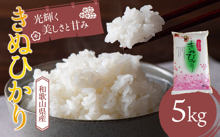 和歌山県産 キヌヒカリ 5kg(2023年産)  産地直送 米 こめ ご飯 ごはん 【sml101】