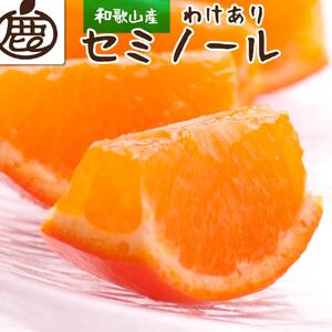 家庭用 セミノールオレンジ 4.5kg+135g（傷み補償分）有田産 訳あり＜4月より発送＞