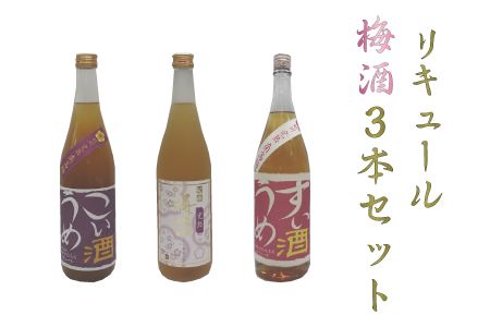 リキュール　梅酒3本セット【miy125】