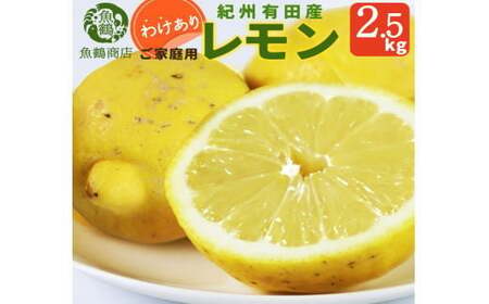 【ご家庭用訳あり】紀州有田産レモン　2.5kg【予約】※2025年3月上旬頃～3月下旬頃に順次発送予定(お届け日指定不可) レモン れもん 果物 柑橘 【uot777】