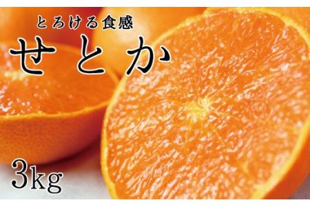 とろける食感！ジューシー柑橘　せとか　約3kg サイズお任せ 【予約】※2025年2月末頃～3月中旬頃発送(お届け日指定不可)【uot506】