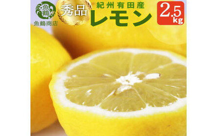 秀品　紀州有田産レモン　2.5kg【予約】※2025年3月上旬頃～3月下旬頃に順次発送予定(お届け日指定不可) レモン れもん 果物 柑橘【uot776】