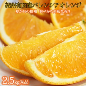秀品　希少な国産バレンシアオレンジ　2.5kg　※2024年6月下旬頃～2024年7月上旬頃に順次発送予定（お届け日指定不可）【uot752】