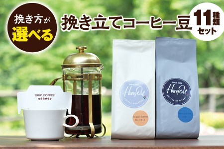 【細挽き】挽き立てコーヒー豆11種類セット(100g×11種類）【hgo002-a】
