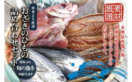 おざきのひもの 詰め合わせセット＜旬の魚をお届け！＞（Aセット） 【冷凍】【ozk100RO-1】
