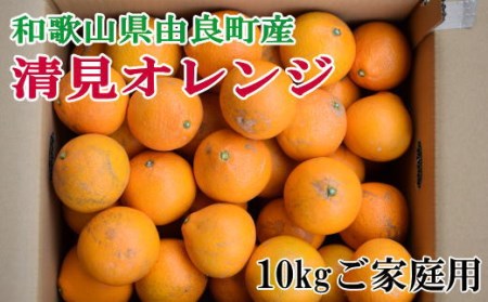 【訳あり・ご家庭用】和歌山由良町産の濃厚清見オレンジ約10kg※2025年2月中旬～2025年2月下旬頃【tec877】
