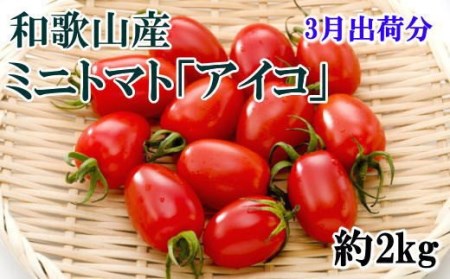 【2025年3月出荷分】和歌山産ミニトマト「アイコトマト」約2kg（S・Mサイズおまかせ）【tec100-3】