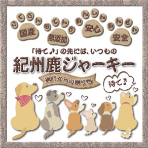 【犬猫用】無添加ふりかけ・ジャーキーセット【wan005】
