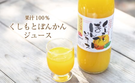 果汁100％！くしもとポンカンジュース 900g ×6本セット 無添加 果肉入りストレートジュース【sse206-6】