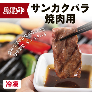 【1513】鳥取牛サンカクバラ焼肉用 600g(冷凍)