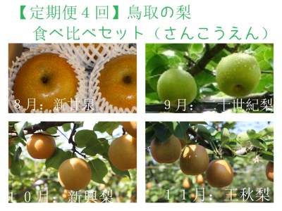 【1203】【定期便４回】 鳥取の梨食べ比べセット(さんこうえん)