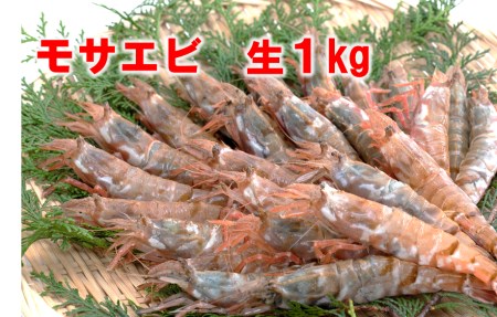 【1143】【魚倉】モサエビ 生1kg(中～大サイズ)