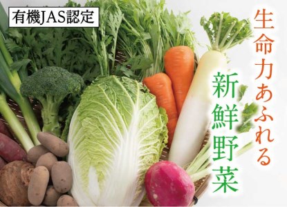 【1209】有機JAS認定 冬野菜とお米の詰め合わせセット